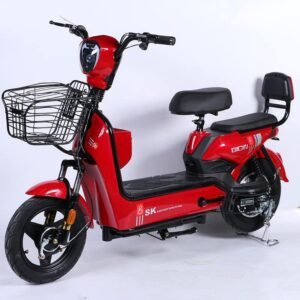 Cheap 48V 350W Electric Scooter Ebike 14 Inch Vacuum Tire 2 Seats Electric Bike Electric Bicycle for Adults